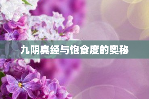 九阴真经与饱食度的奥秘