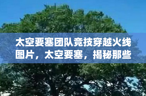 太空要塞团队竞技穿越火线图片，太空要塞，揭秘那些令人头疼的bug