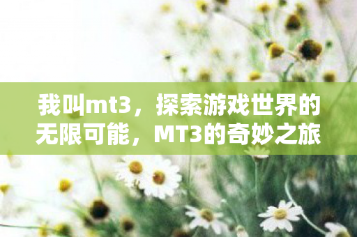 我叫mt3，探索游戏世界的无限可能，MT3的奇妙之旅