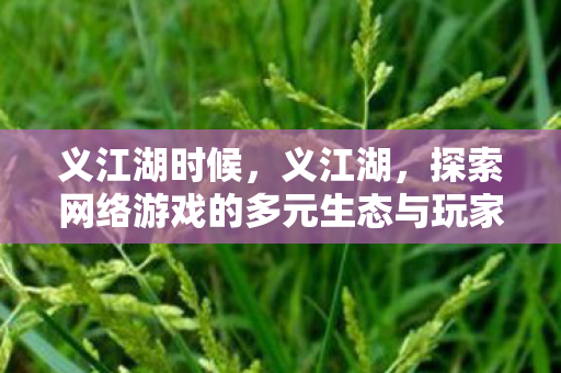 义江湖时候，义江湖，探索网络游戏的多元生态与玩家社群