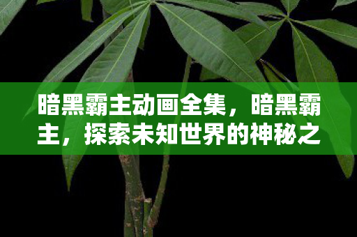 暗黑霸主动画全集，暗黑霸主，探索未知世界的神秘之旅