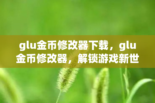glu金币修改器下载，glu金币修改器，解锁游戏新世界的钥匙