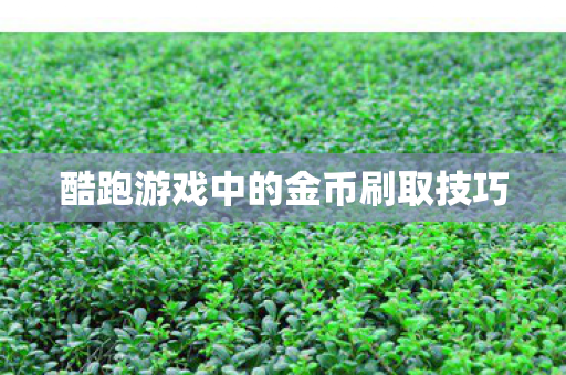 酷跑游戏中的金币刷取技巧