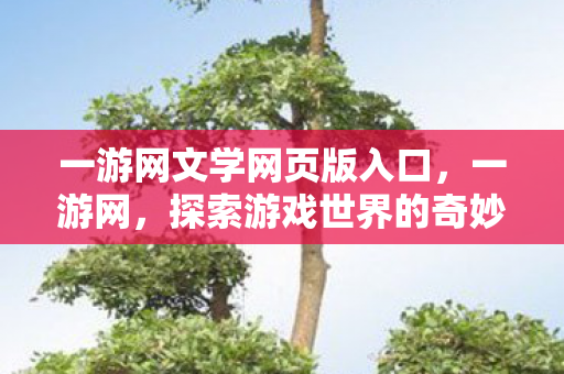 一游网文学网页版入口，一游网，探索游戏世界的奇妙之旅