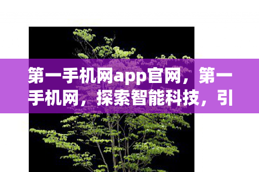 第一手机网app官网，第一手机网，探索智能科技，引领未来生活