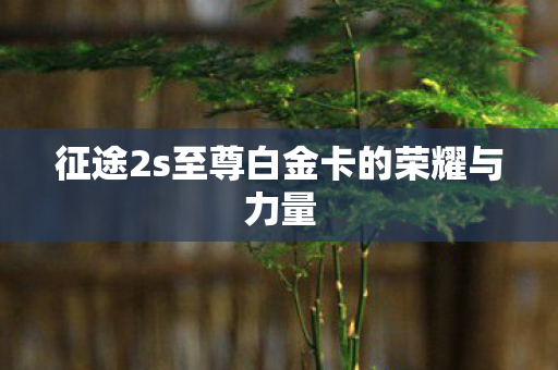 征途2s至尊白金卡的荣耀与力量