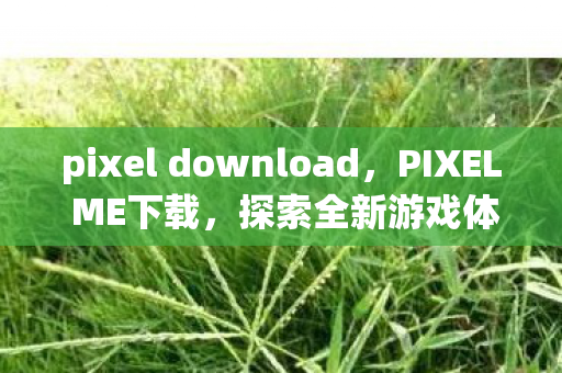 pixel download，PIXEL ME下载，探索全新游戏体验的无限可能