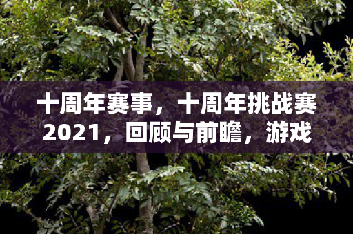 十周年赛事，十周年挑战赛2021，回顾与前瞻，游戏行业的创新与发展