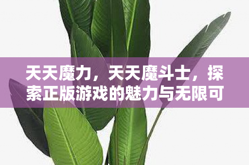 天天魔力，天天魔斗士，探索正版游戏的魅力与无限可能