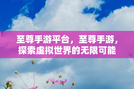 至尊手游平台，至尊手游，探索虚拟世界的无限可能