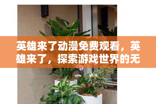 英雄来了动漫免费观看，英雄来了，探索游戏世界的无限可能