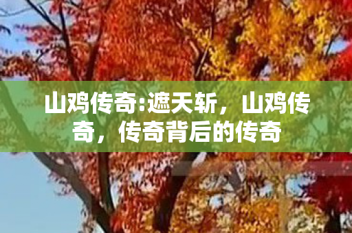 山鸡传奇:遮天斩，山鸡传奇，传奇背后的传奇