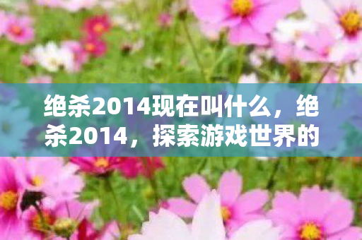 绝杀2014现在叫什么，绝杀2014，探索游戏世界的无限可能