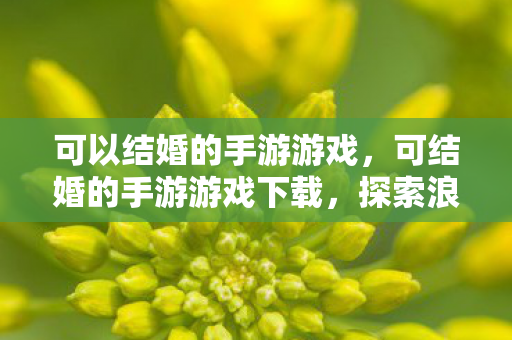 可以结婚的手游游戏，可结婚的手游游戏下载，探索浪漫情缘的虚拟世界