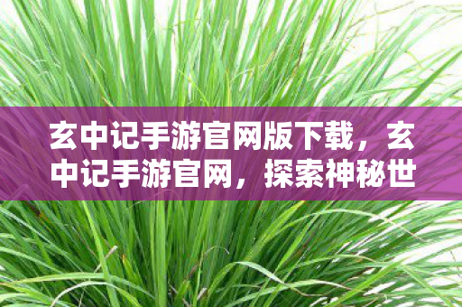玄中记手游官网版下载，玄中记手游官网，探索神秘世界的奇幻之旅