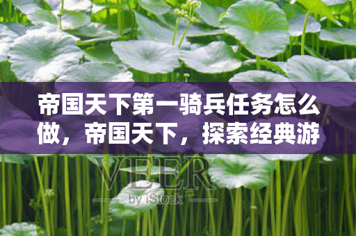帝国天下第一骑兵任务怎么做，帝国天下，探索经典游戏的魅力与传承
