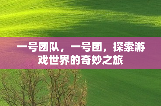 一号团队，一号团，探索游戏世界的奇妙之旅
