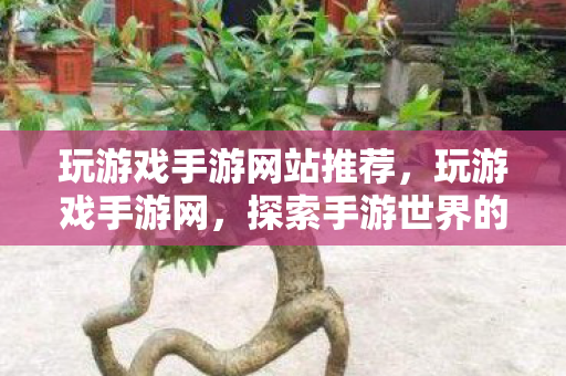 玩游戏手游网站推荐，玩游戏手游网，探索手游世界的无限可能