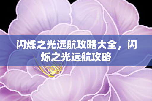 闪烁之光远航攻略大全，闪烁之光远航攻略