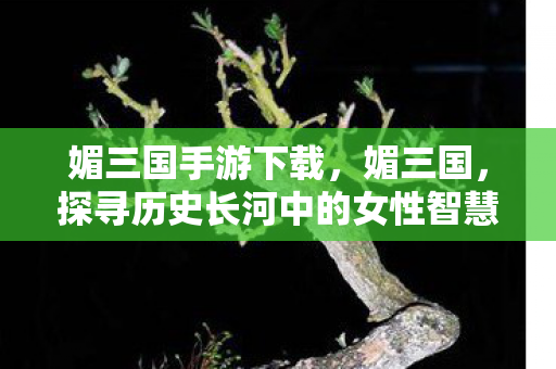 媚三国手游下载，媚三国，探寻历史长河中的女性智慧与魅力