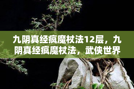 九阴真经疯魔杖法12层，九阴真经疯魔杖法，武侠世界中的极致追求