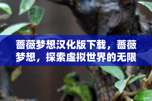 蔷薇梦想汉化版下载，蔷薇梦想，探索虚拟世界的无限可能