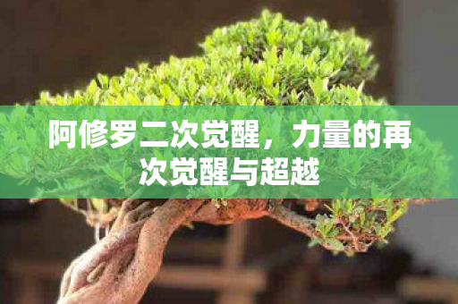 阿修罗二次觉醒，力量的再次觉醒与超越