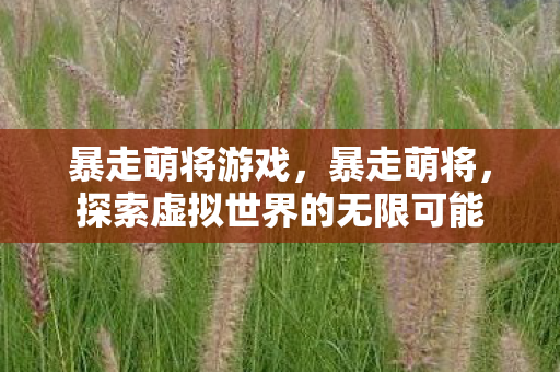 暴走萌将游戏，暴走萌将，探索虚拟世界的无限可能