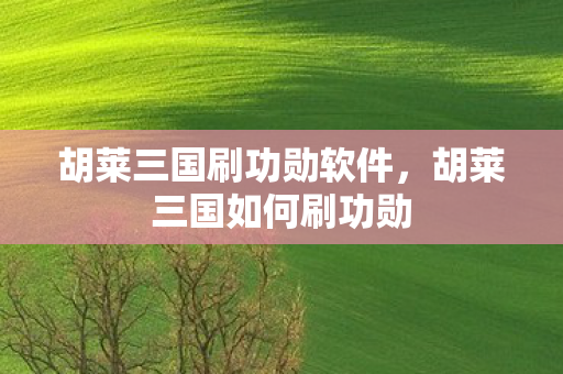 胡莱三国刷功勋软件，胡莱三国如何刷功勋