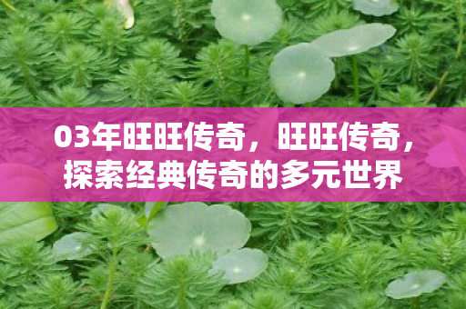 03年旺旺传奇，旺旺传奇，探索经典传奇的多元世界