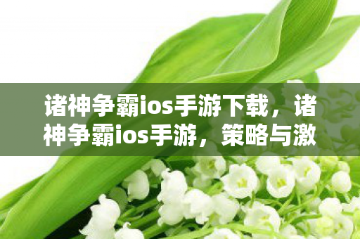诸神争霸ios手游下载，诸神争霸ios手游，策略与激情的碰撞