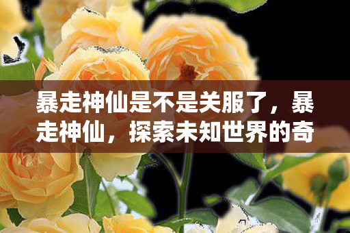 暴走神仙是不是关服了，暴走神仙，探索未知世界的奇妙之旅