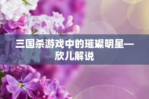 三国杀游戏中的璀璨明星—欣儿解说