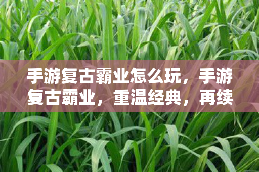 手游复古霸业怎么玩，手游复古霸业，重温经典，再续传奇