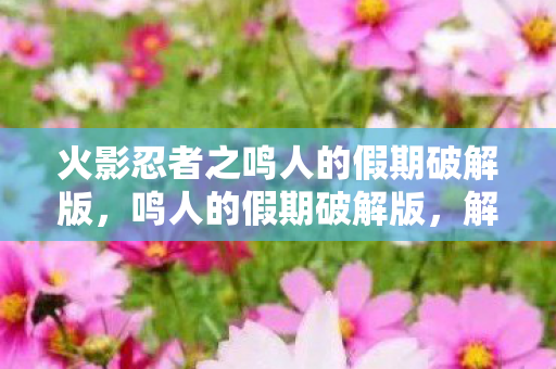 火影忍者之鸣人的假期破解版，鸣人的假期破解版，解锁无限可能的冒险之旅