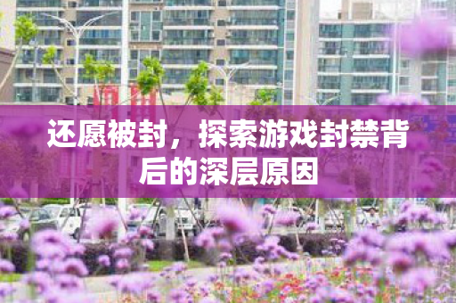 还愿被封，探索游戏封禁背后的深层原因