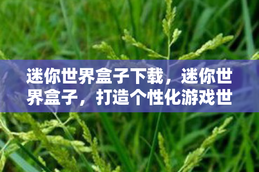 迷你世界盒子下载，迷你世界盒子，打造个性化游戏世界的创意工坊