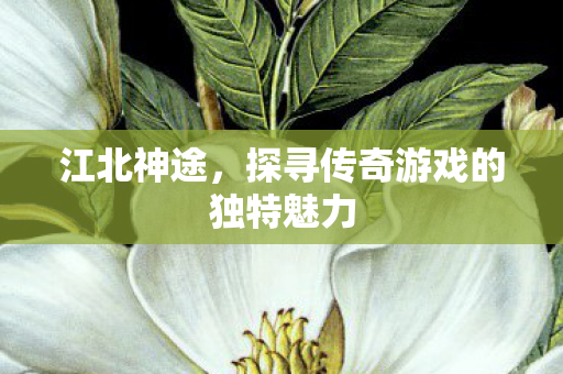 江北神途，探寻传奇游戏的独特魅力