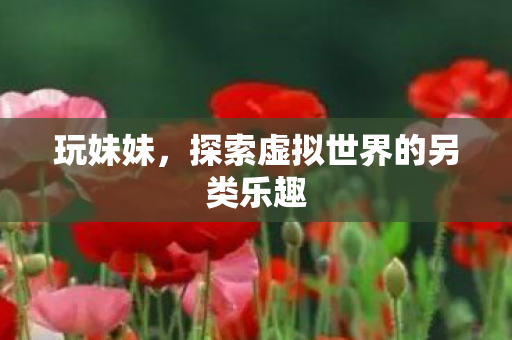 玩妹妹，探索虚拟世界的另类乐趣