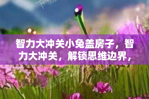 智力大冲关小兔盖房子，智力大冲关，解锁思维边界，挑战智慧极限