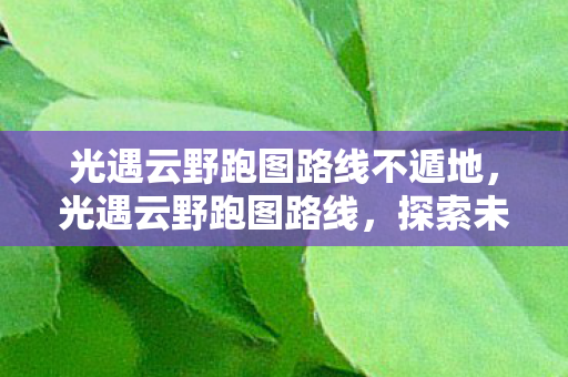 光遇云野跑图路线不遁地，光遇云野跑图路线，探索未知，享受旅程