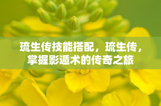 琉生传技能搭配，琉生传，掌握影遁术的传奇之旅