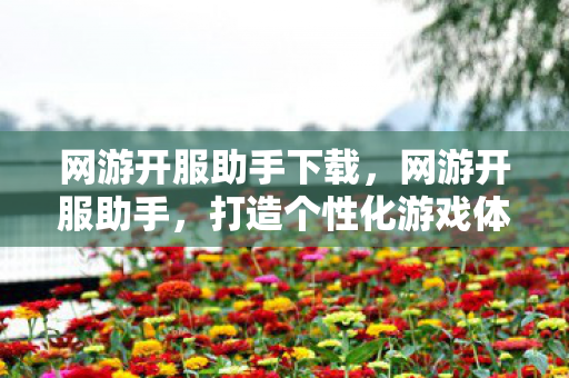 网游开服助手下载，网游开服助手，打造个性化游戏体验的必备工具