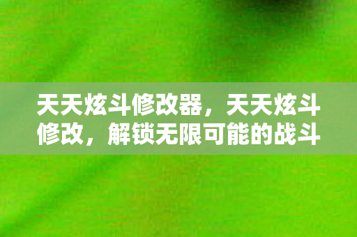 天天炫斗修改器，天天炫斗修改，解锁无限可能的战斗体验