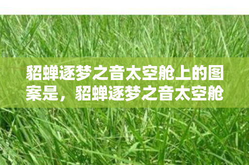 貂蝉逐梦之音太空舱上的图案是，貂蝉逐梦之音太空舱，探索虚拟世界的梦幻之旅