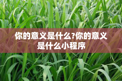 你的意义是什么?你的意义是什么小程序