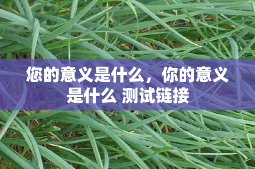 您的意义是什么，你的意义是什么 测试链接