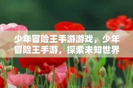 少年冒险王手游游戏，少年冒险王手游，探索未知世界的奇妙之旅