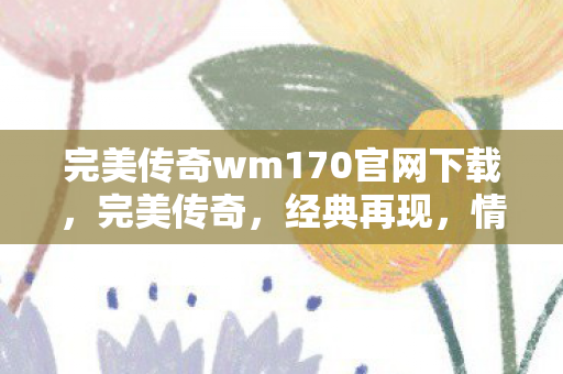完美传奇wm170官网下载，完美传奇，经典再现，情怀不灭