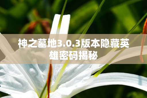 神之墓地3.0.3版本隐藏英雄密码揭秘